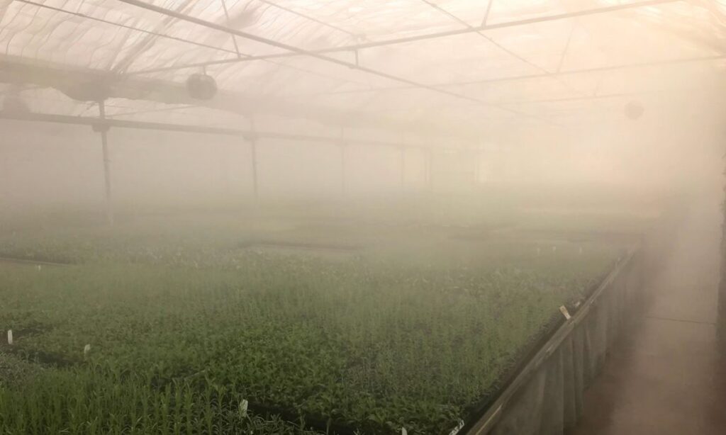 Meefog Fog Humidification Sytems in the Winter for Greenhouses