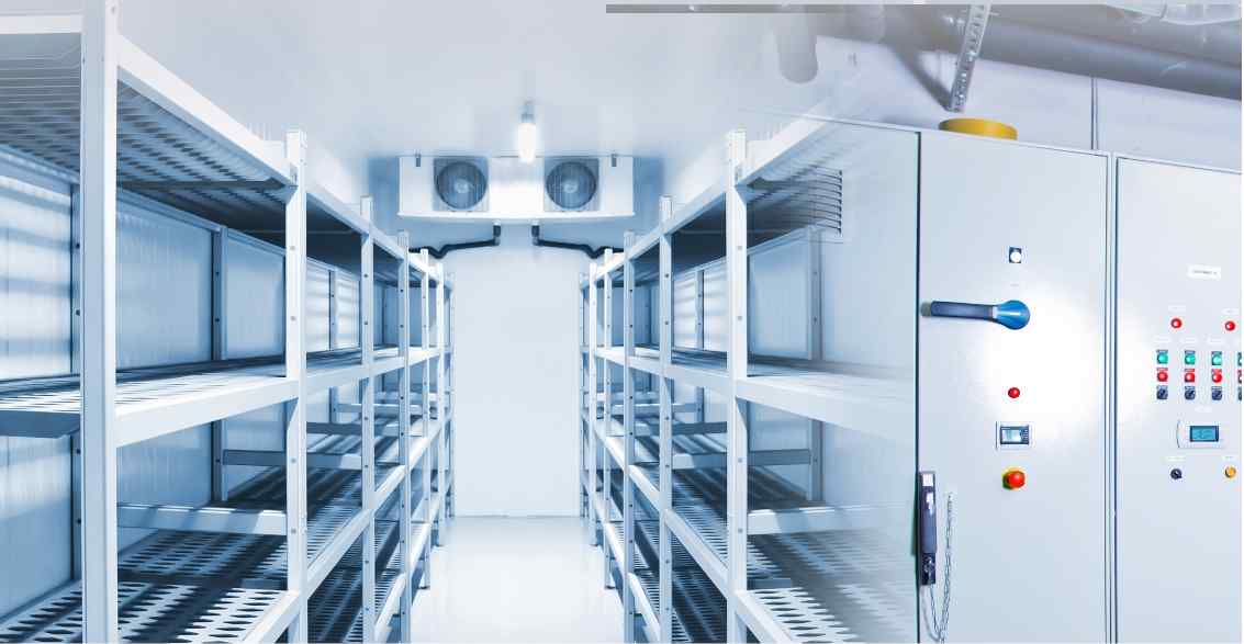 Interior of a cold storage room featuring metal shelving units and a control panel with buttons and switches on the right.