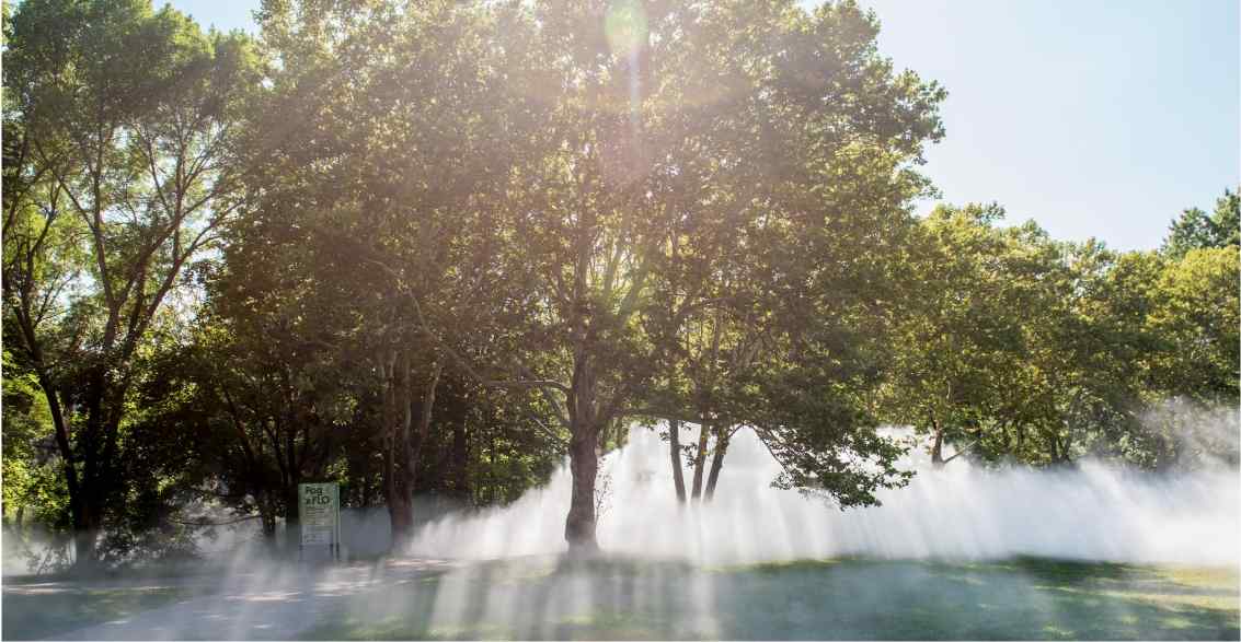 Sunlight filters through trees in a misty park, creating a serene atmosphere with soft rays illuminating the foggy ground.