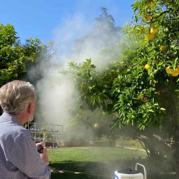 A man sprays mist towards a lemon tree, which is laden with ripe lemons, under a clear blue sky.
