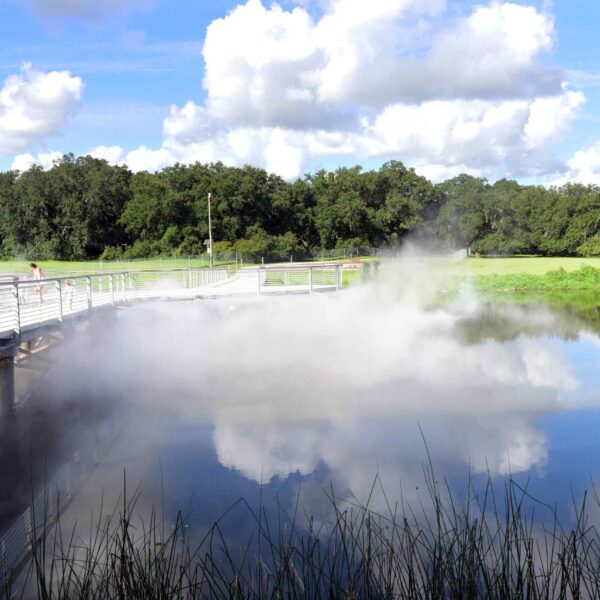 A misty lake reflects clouds and greenery, with a boardwalk where people observe the serene scenery.