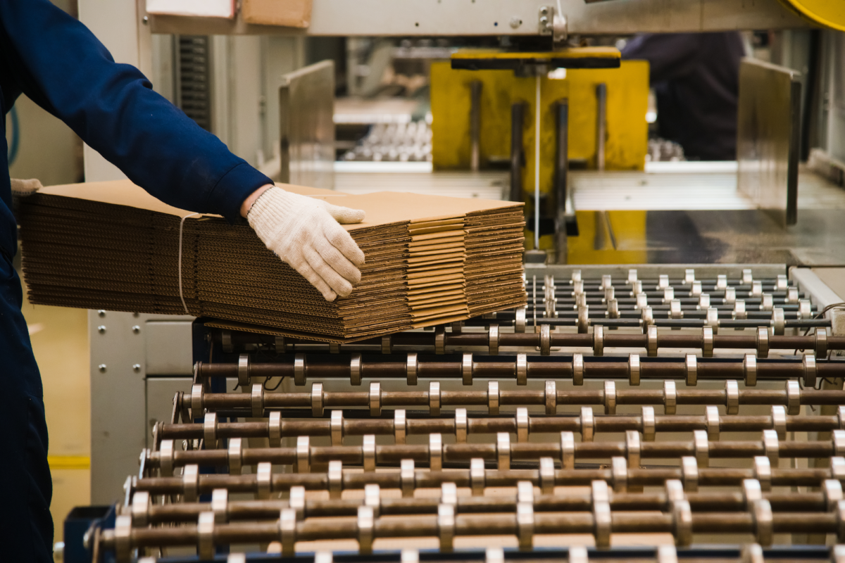 Worker in blue uniform handling a stack of flat corrugated cardboard sheets on an industrial roller.