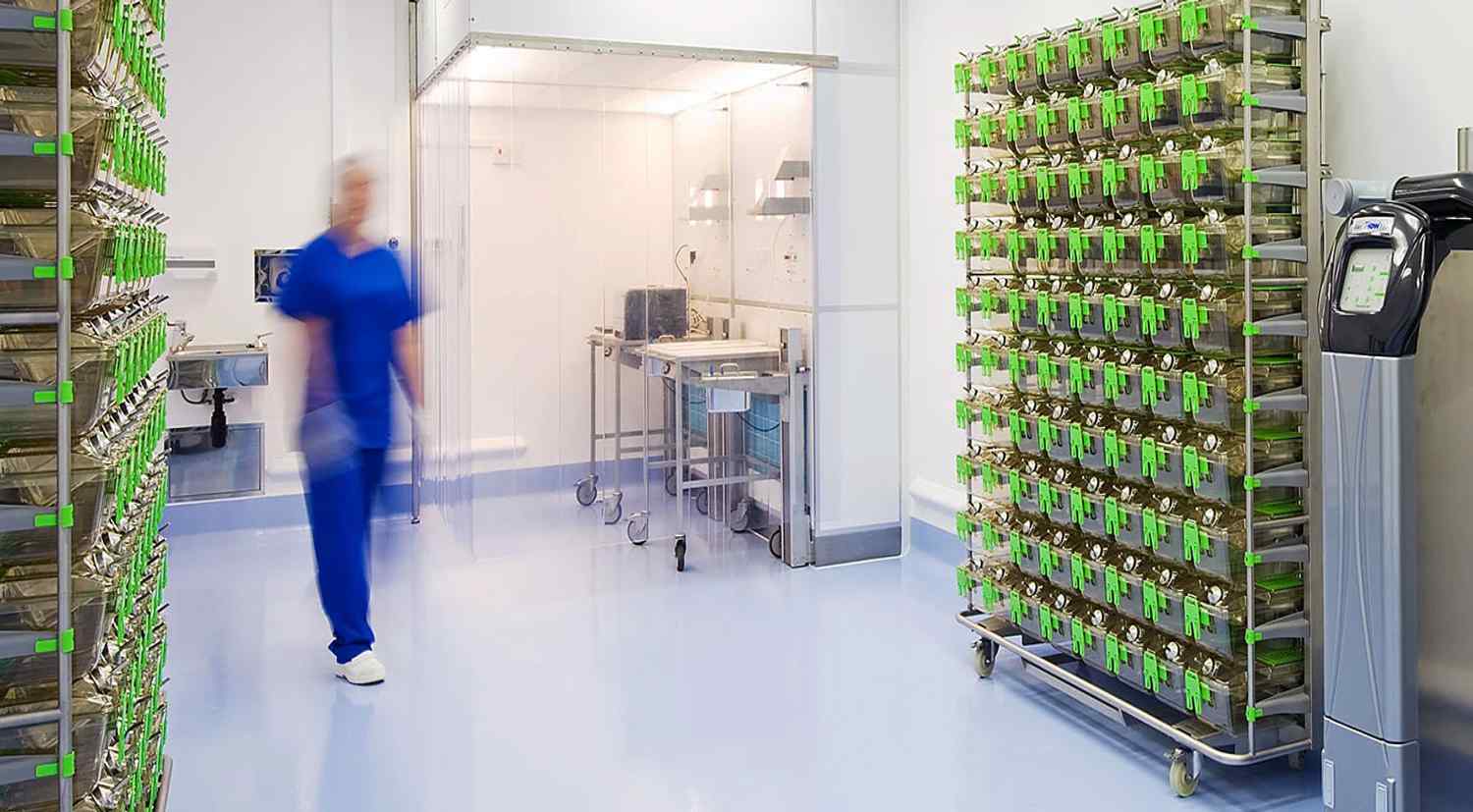 A lab worker in blue scrubs moves past stacked cages on a cart, holding small animals, in a clean, modern research facility.