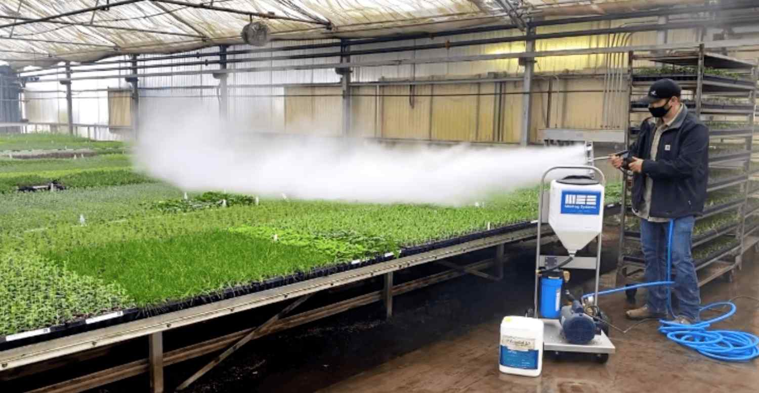 perfect growing environment